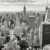 Review for Effective Score Holdings LLC